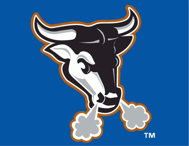 Durham Bulls 2000-2012 Cap Logo iron on paper